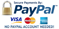 PayPal Payment Link