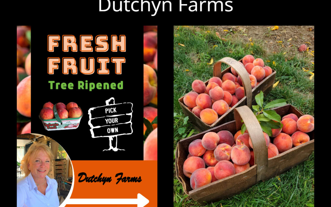 Dutchyn Farms